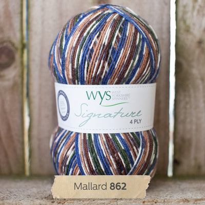 blue white brown green west yorkshire spinners signature 4 ply sock 100g british wool