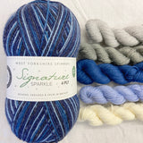 blue sparkly west yorkshire spinners signature 4 ply sock 100g british wool skeins of white light blue dark blue grey beige yarn
