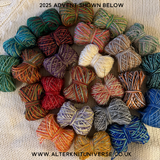 2026 Advent Calendar PRE ORDER- 10g Sock Minis