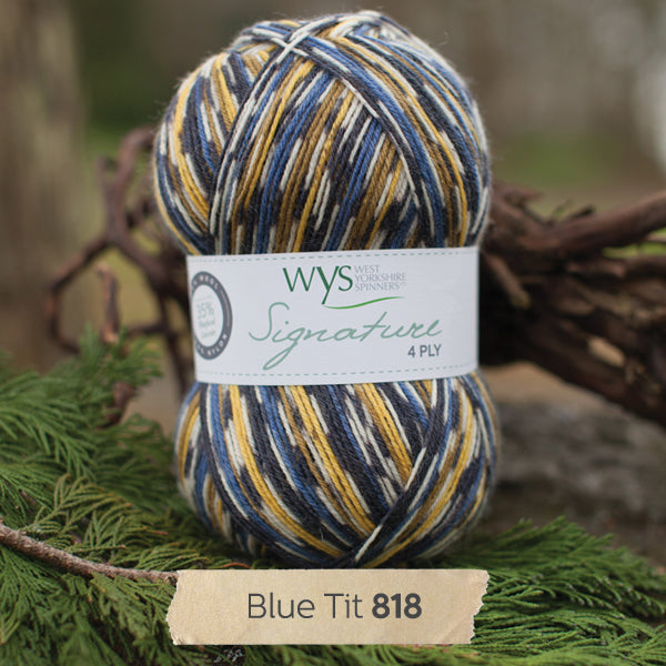 blue white black brown west yorkshire spinners signature 4 ply sock 100g british wool