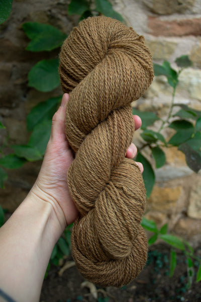 skein of natural and plant dyed yarn in a brown shade in front of green leaves