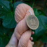 a woman holding a 100g skein of natural dyed pink peach sock yarn 