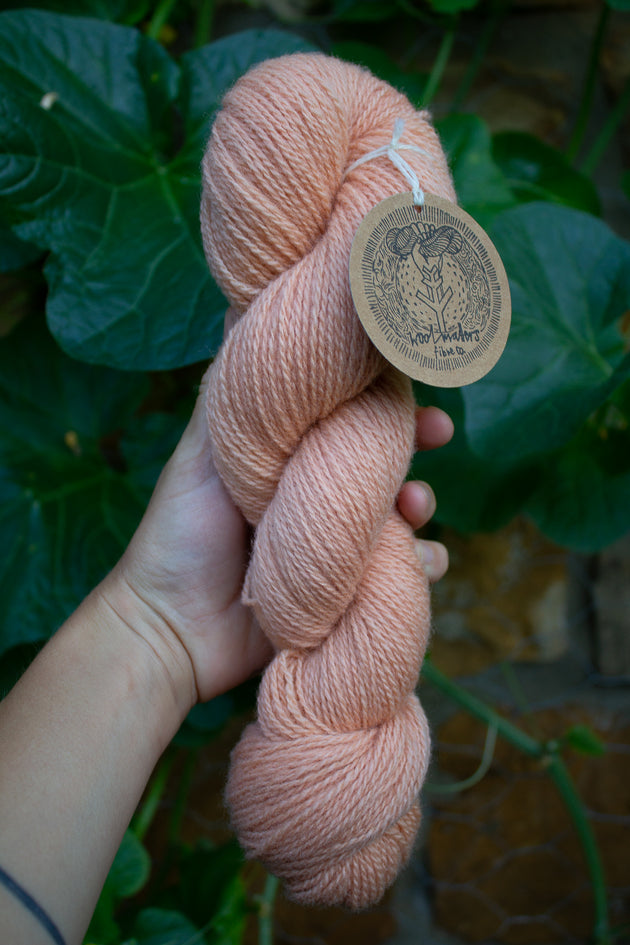 a woman holding a 100g skein of natural dyed pink peach sock yarn
