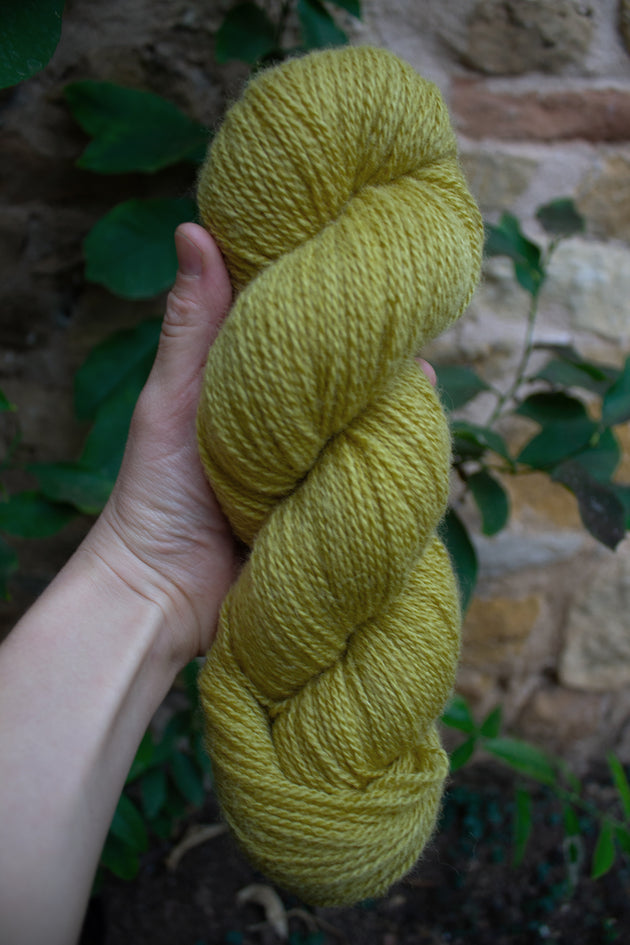 skein of natural and plant dyed yarn in a green yellow shade in front of green leaves
