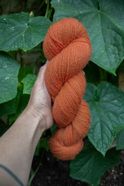 "Madder Orange" Natural Sock