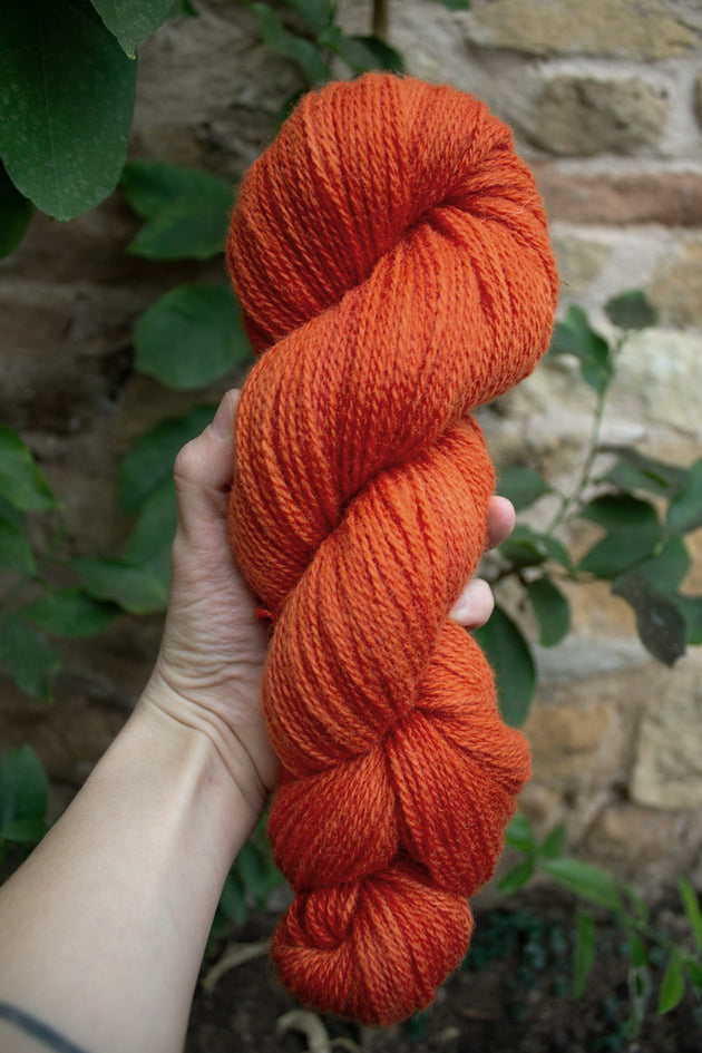 a woman holding a 100g skein of natural dyed bright orange sock yarn 