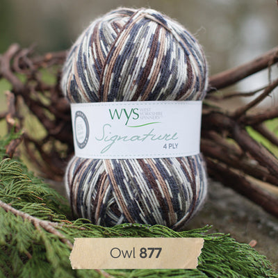 blue white brown green west yorkshire spinners signature 4 ply sock 100g british wool