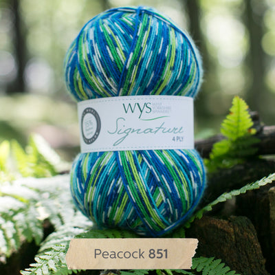 blue  green white west yorkshire spinners signature 4 ply sock 100g british wool
