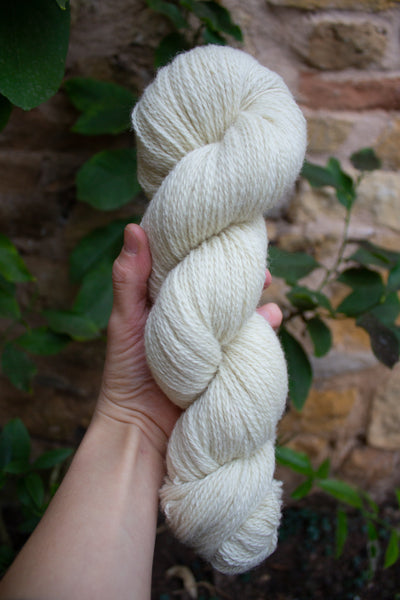 skein of natural and plant dyed yarn in a white undyed shade in front of green leaves